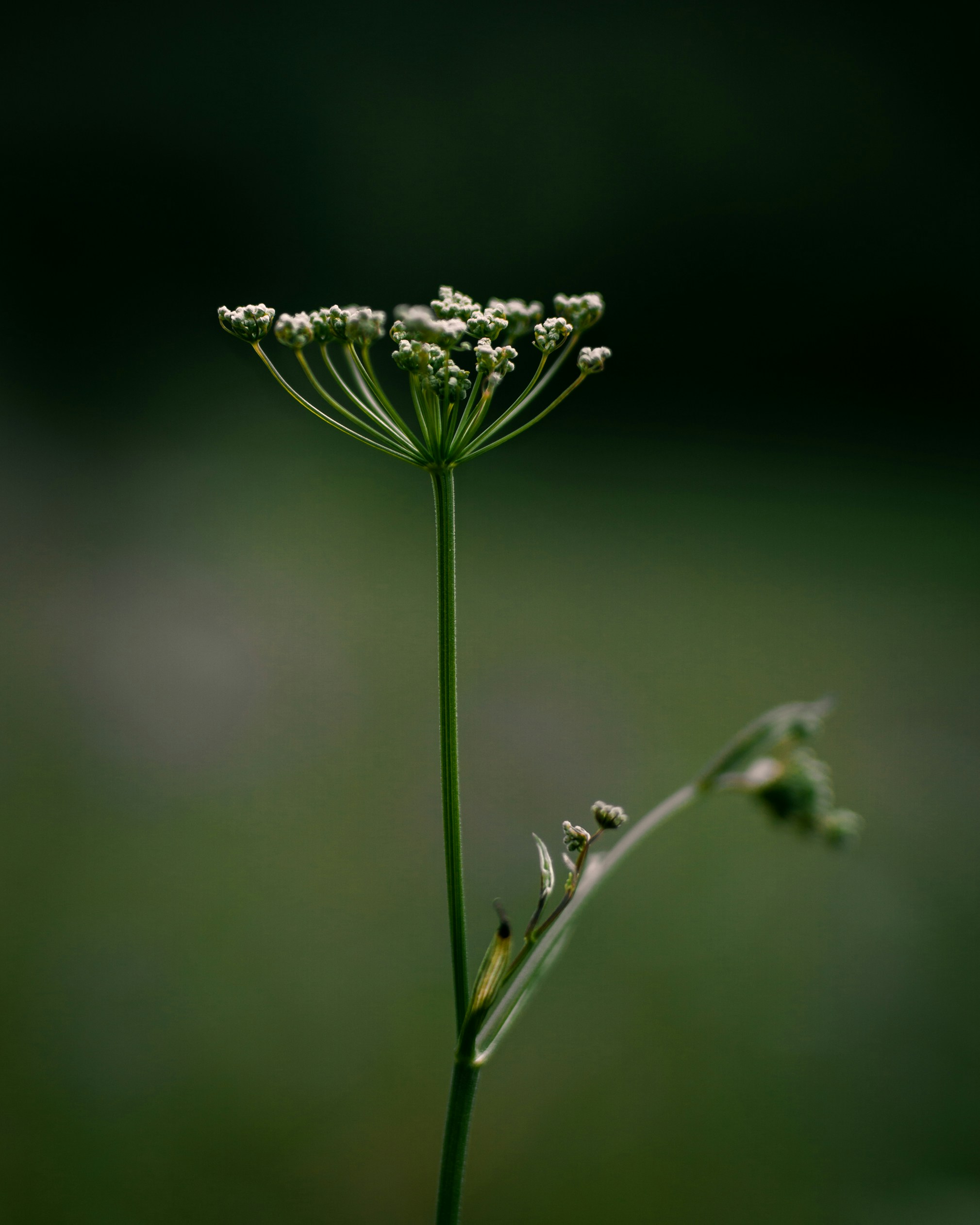 Photo by kirillpershin