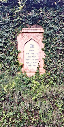 A memorial plaque partially covered by lush green ivy, with an inscription honoring 200 men from a village who went to the Great War from 1914 to 1919. The plaque is set within a decorative stone frame featuring star symbols.