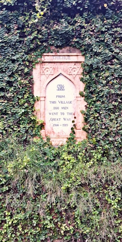 A memorial plaque partially covered by lush green ivy, with an inscription honoring 200 men from a village who went to the Great War from 1914 to 1919. The plaque is set within a decorative stone frame featuring star symbols.
