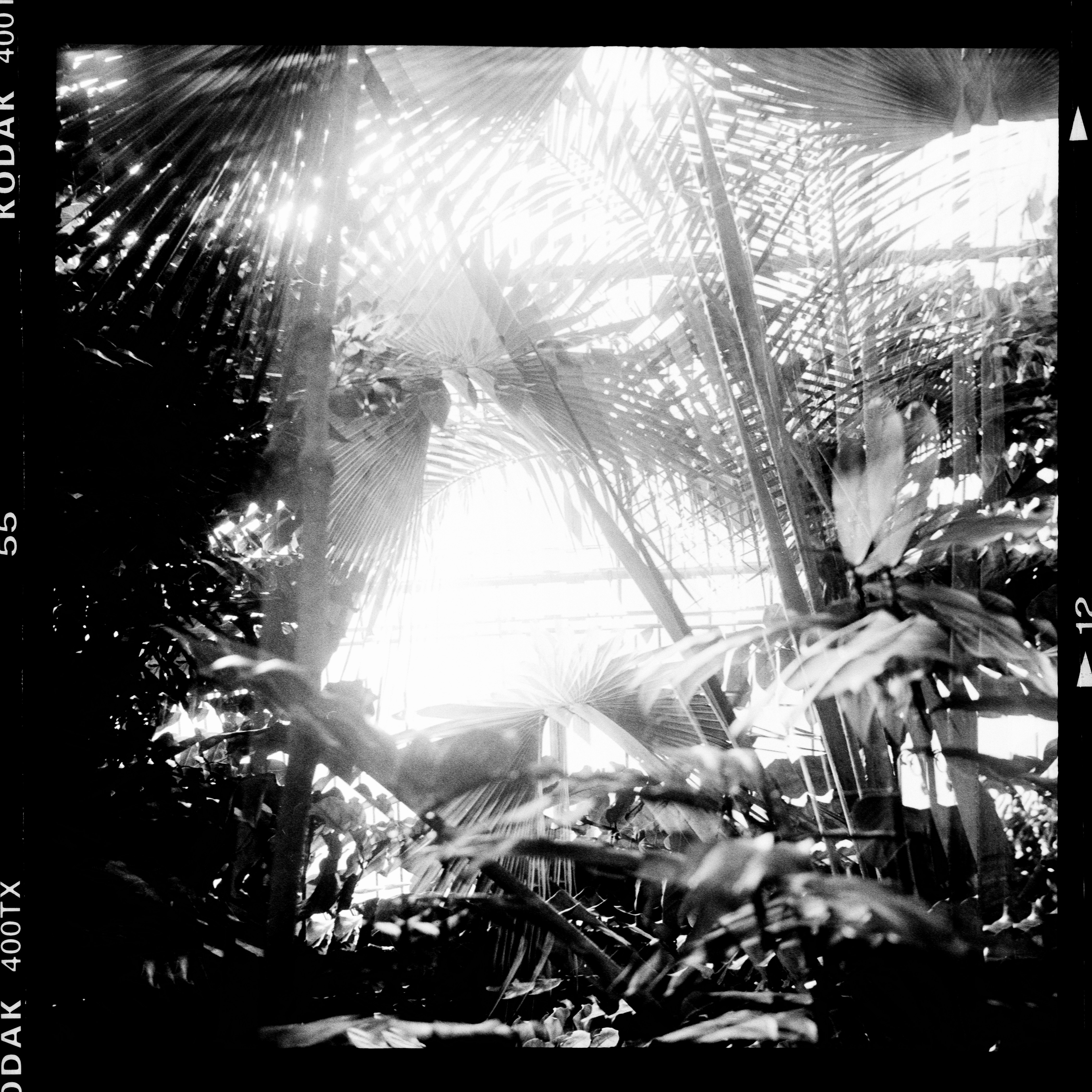 Photo by anniespratt