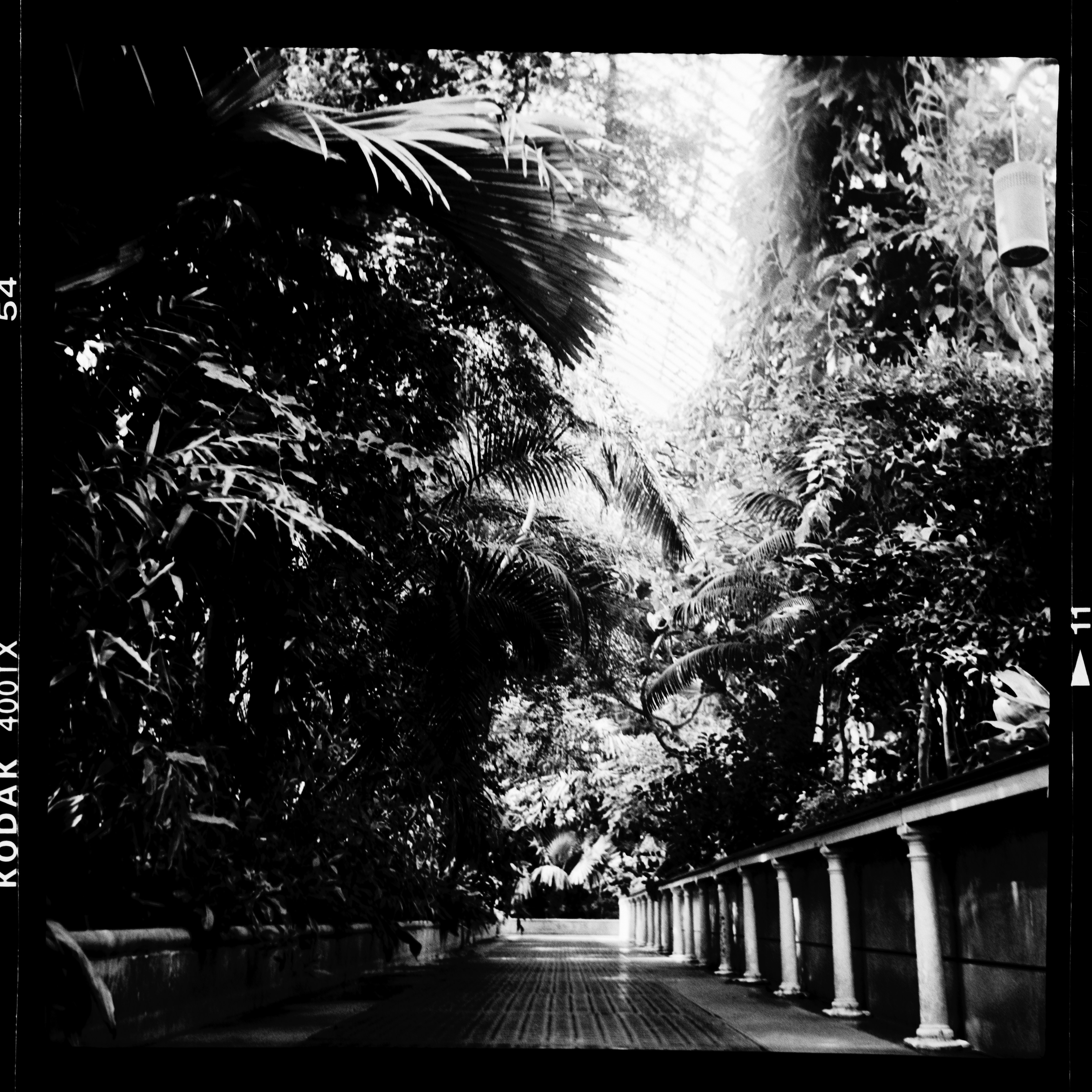 Photo by anniespratt