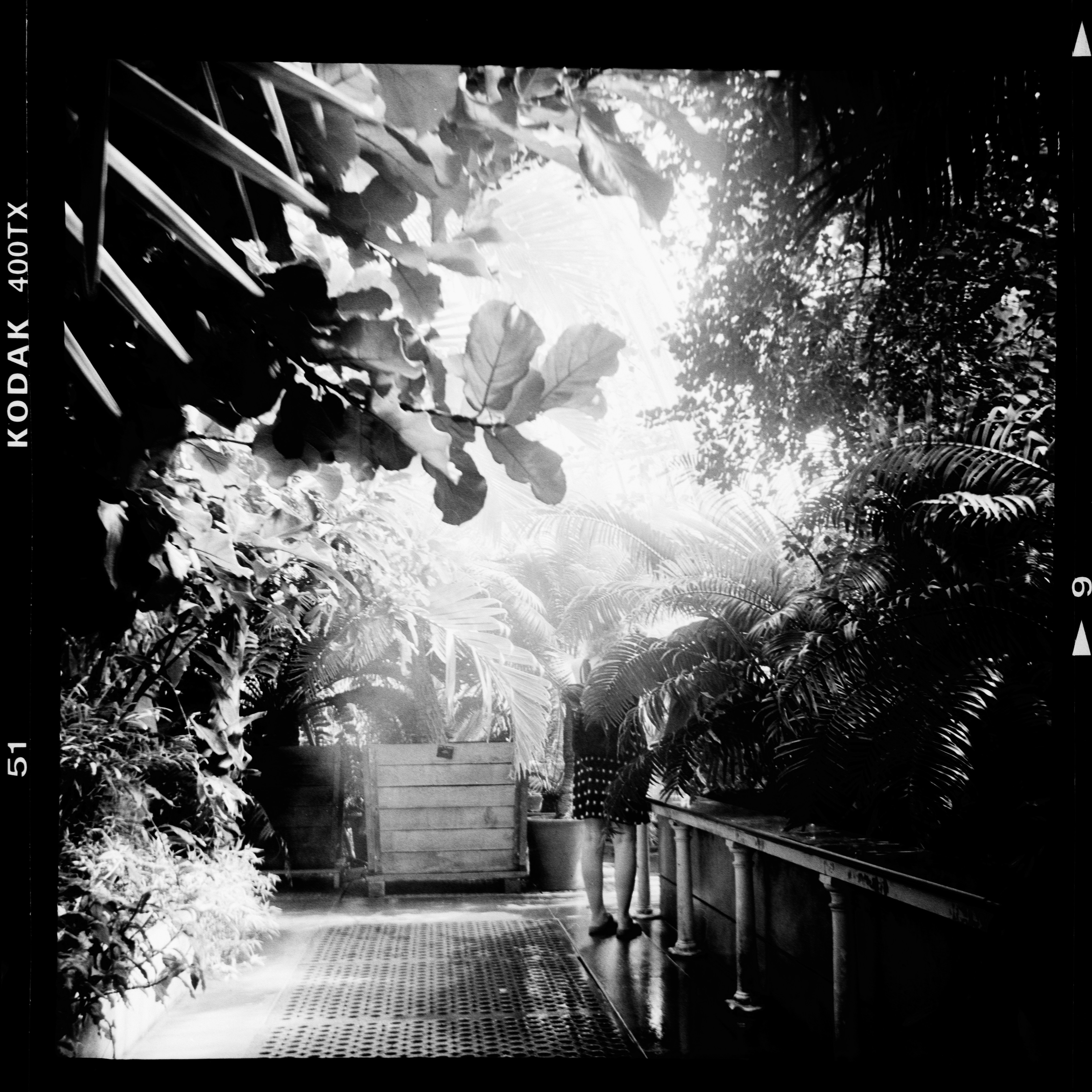 Photo by anniespratt