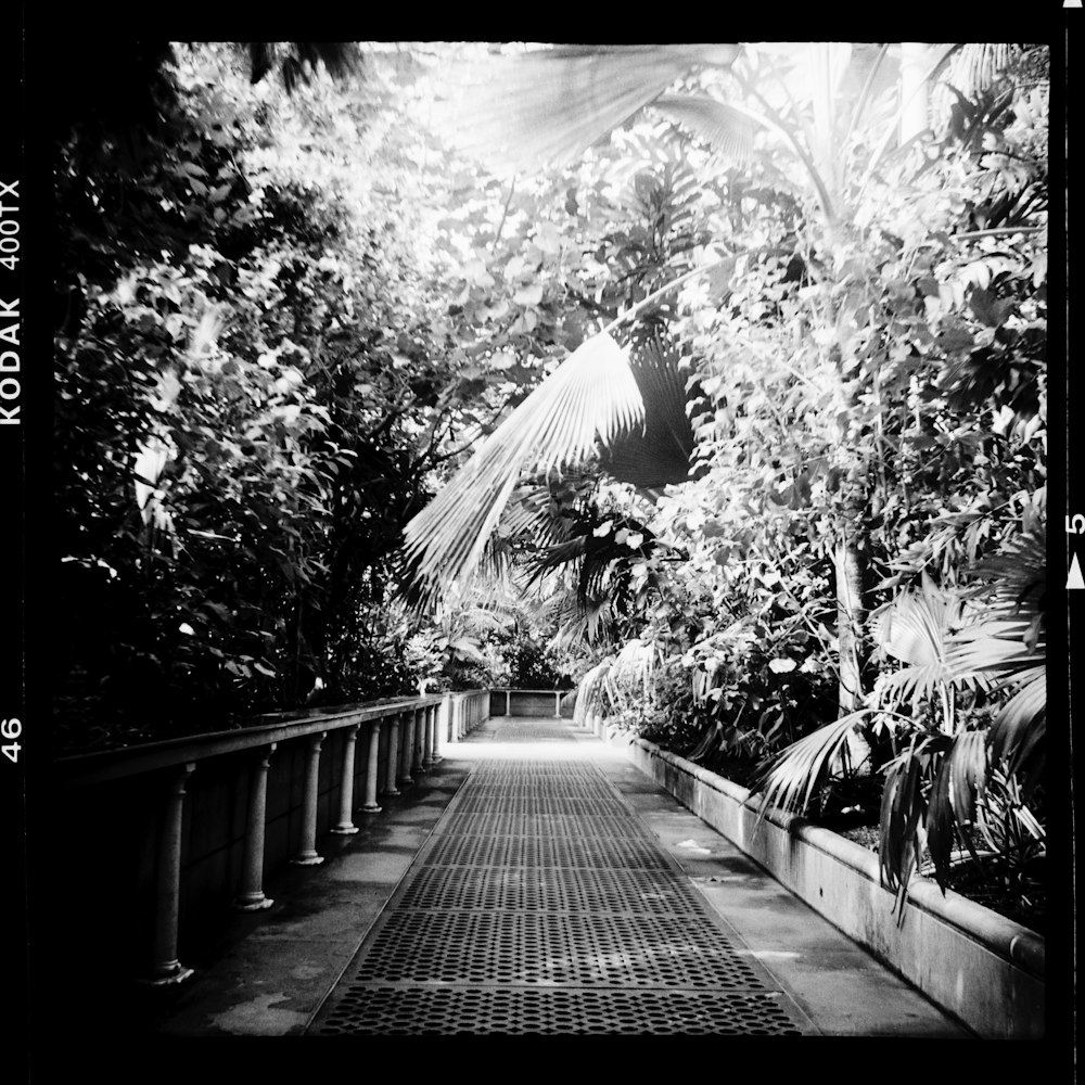 grayscale photography of empty walkway