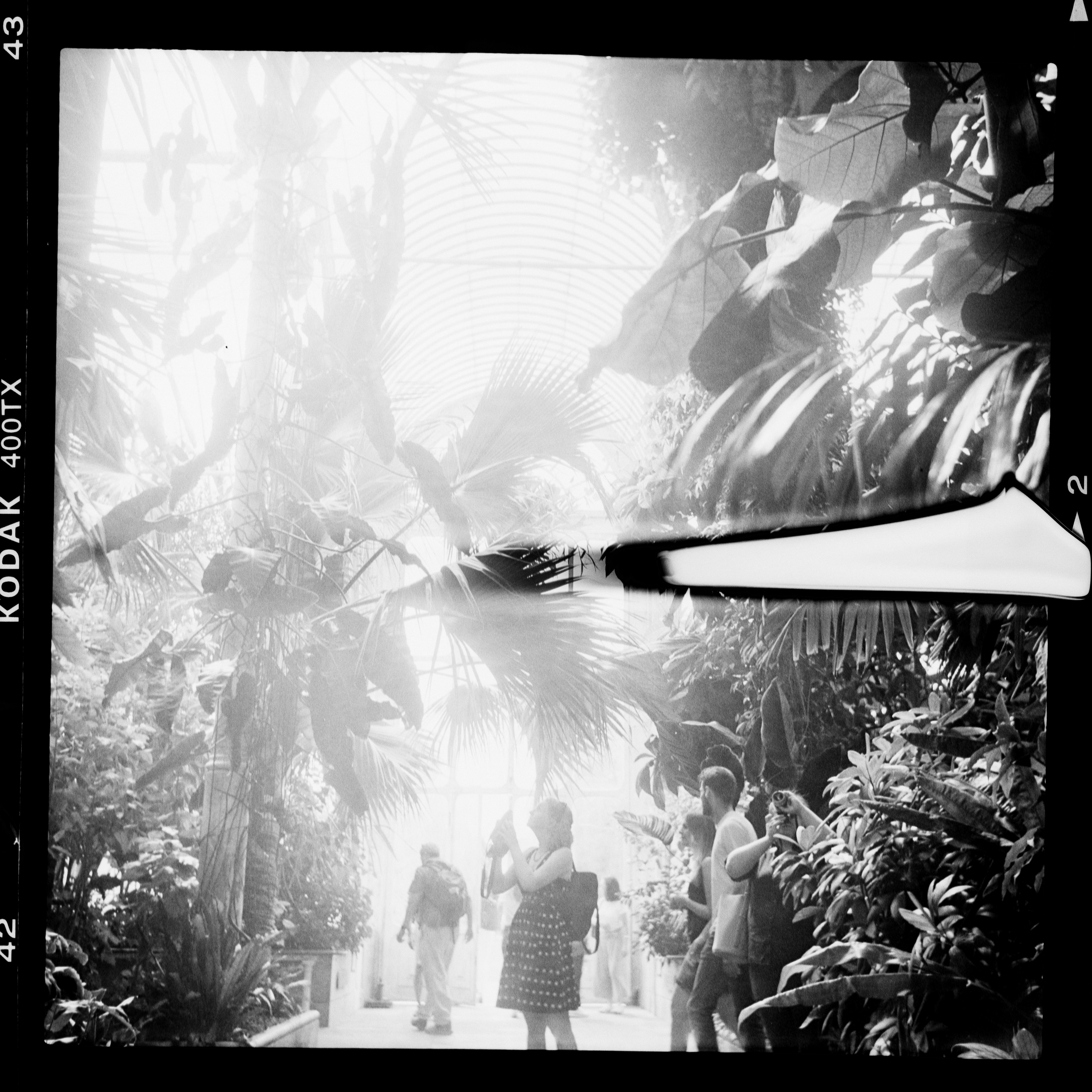 Photo by anniespratt