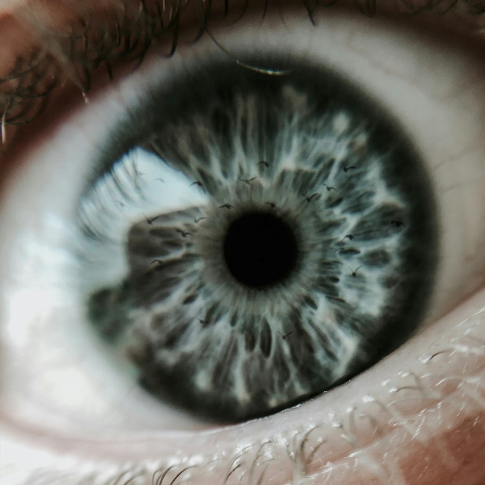 l’œil humain