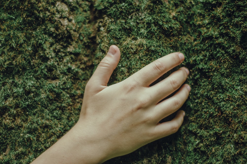 right human hand on moss