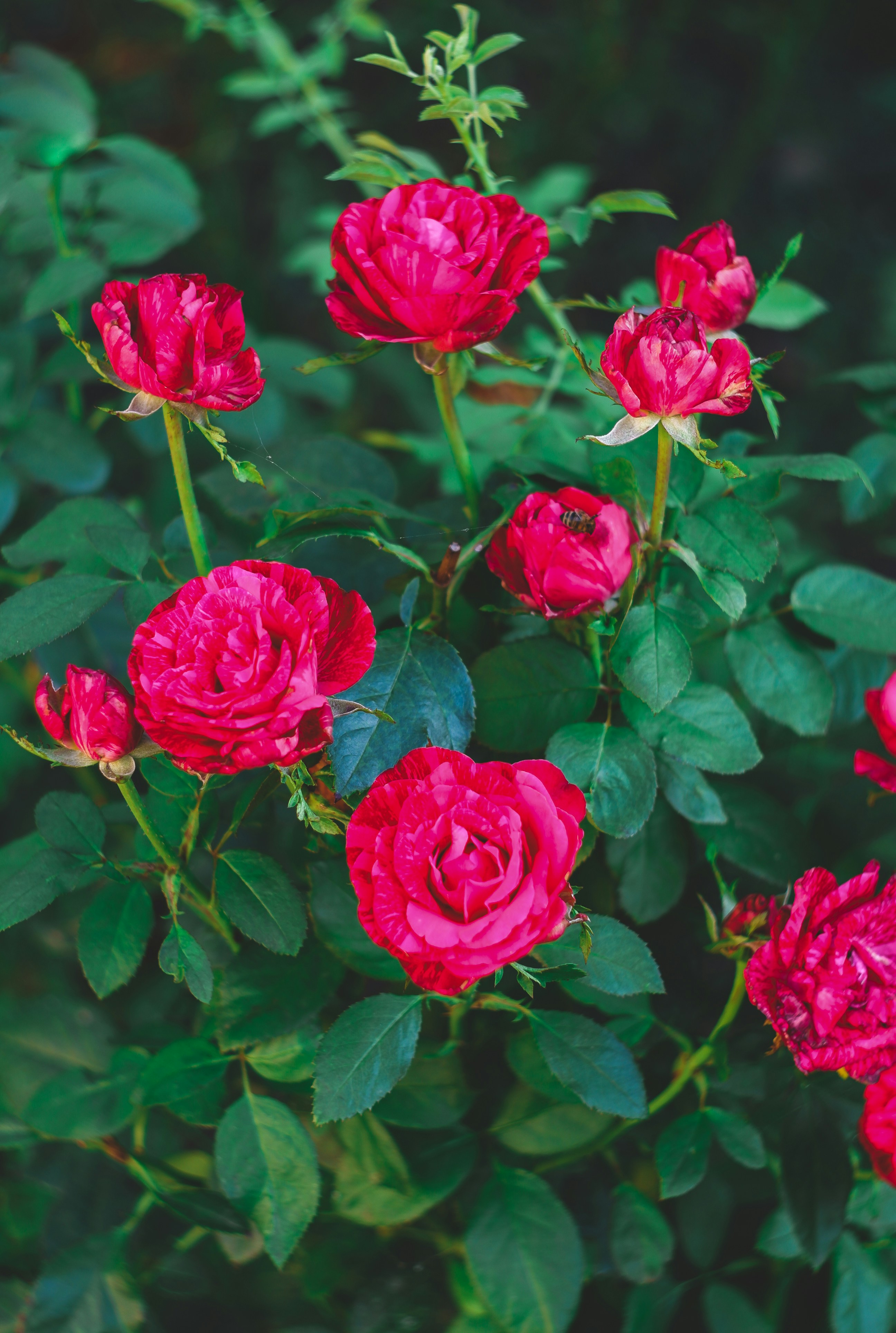 Photo by lightman_ev