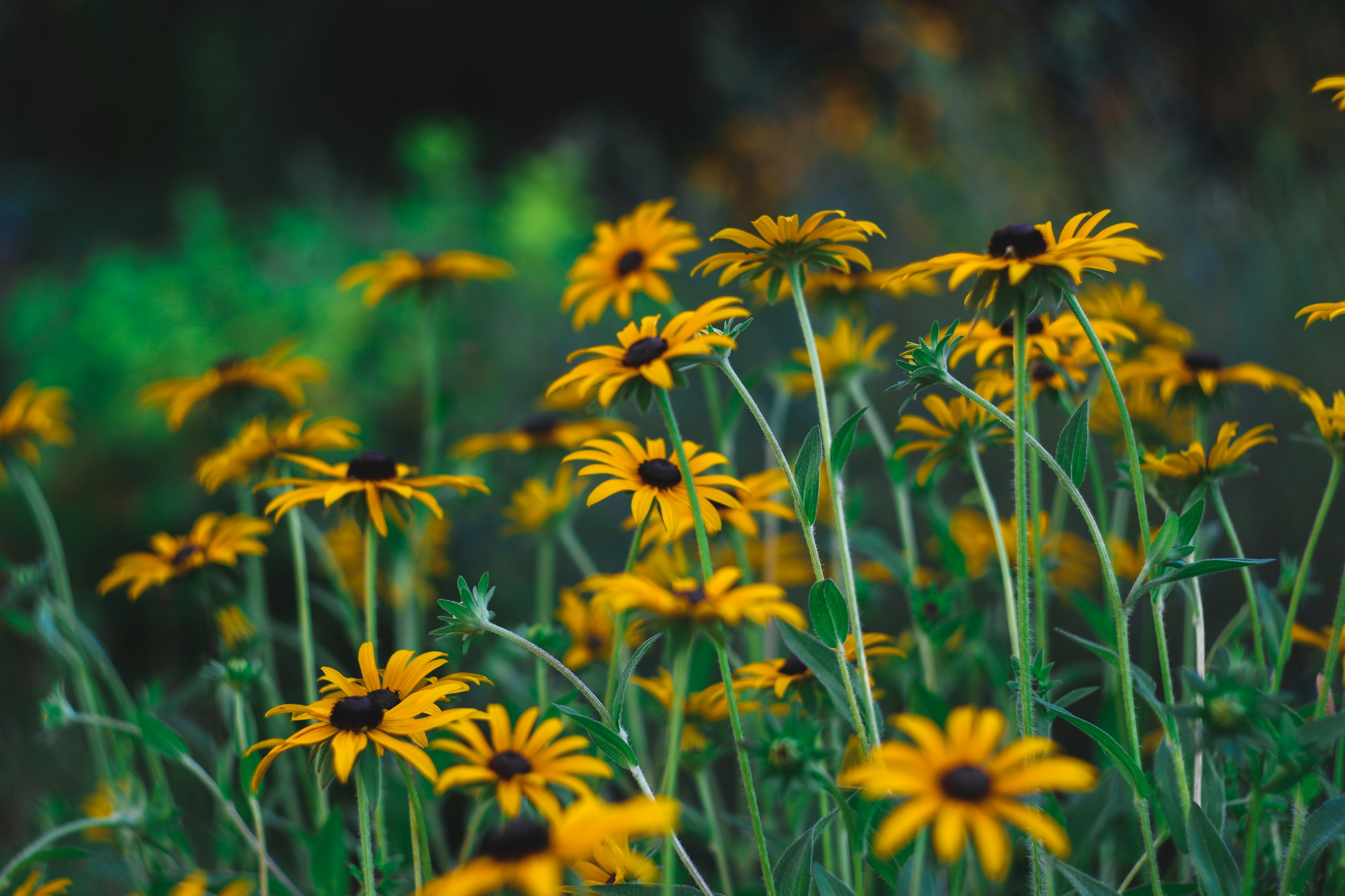 Photo by lightman_ev