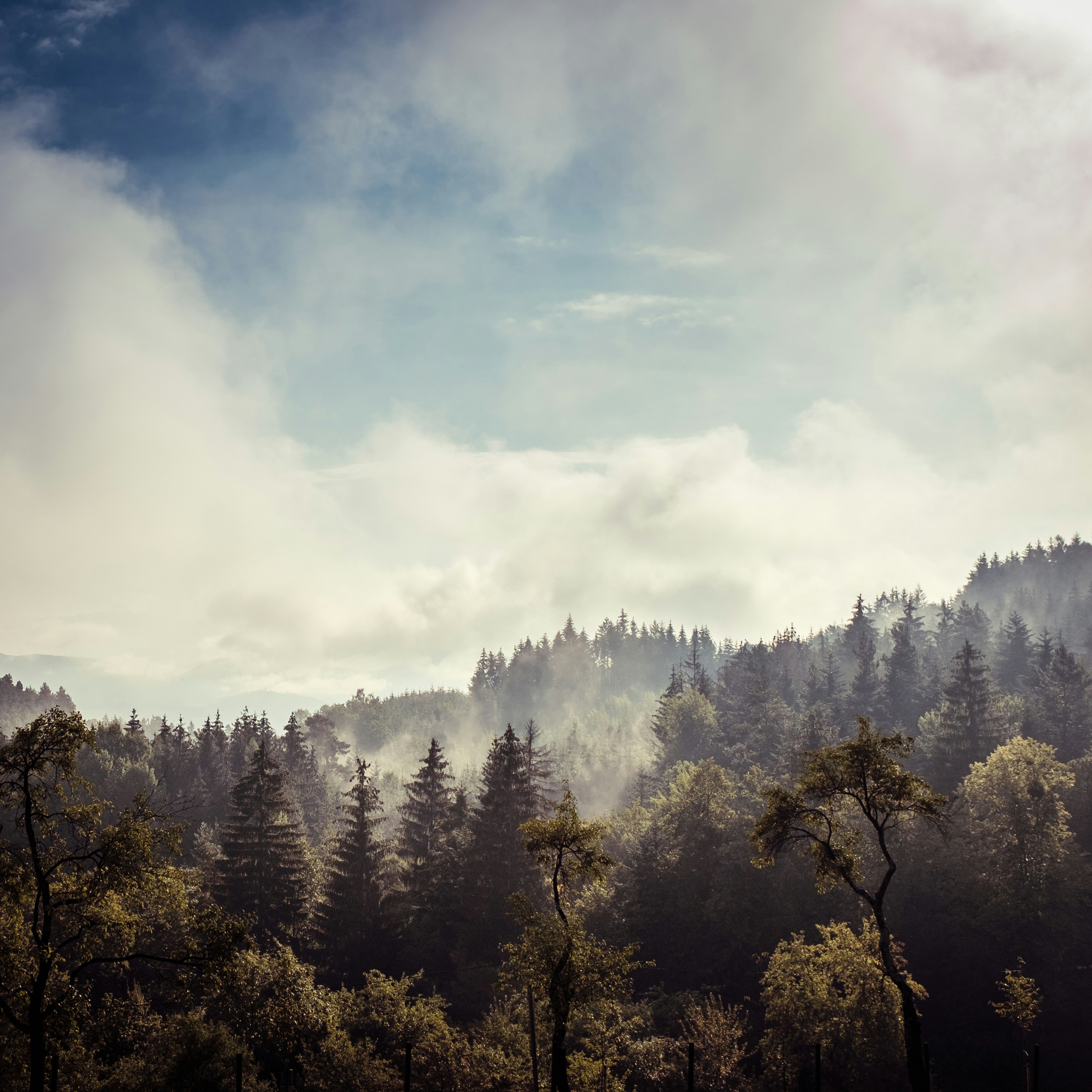 Photo by ivan_dostal