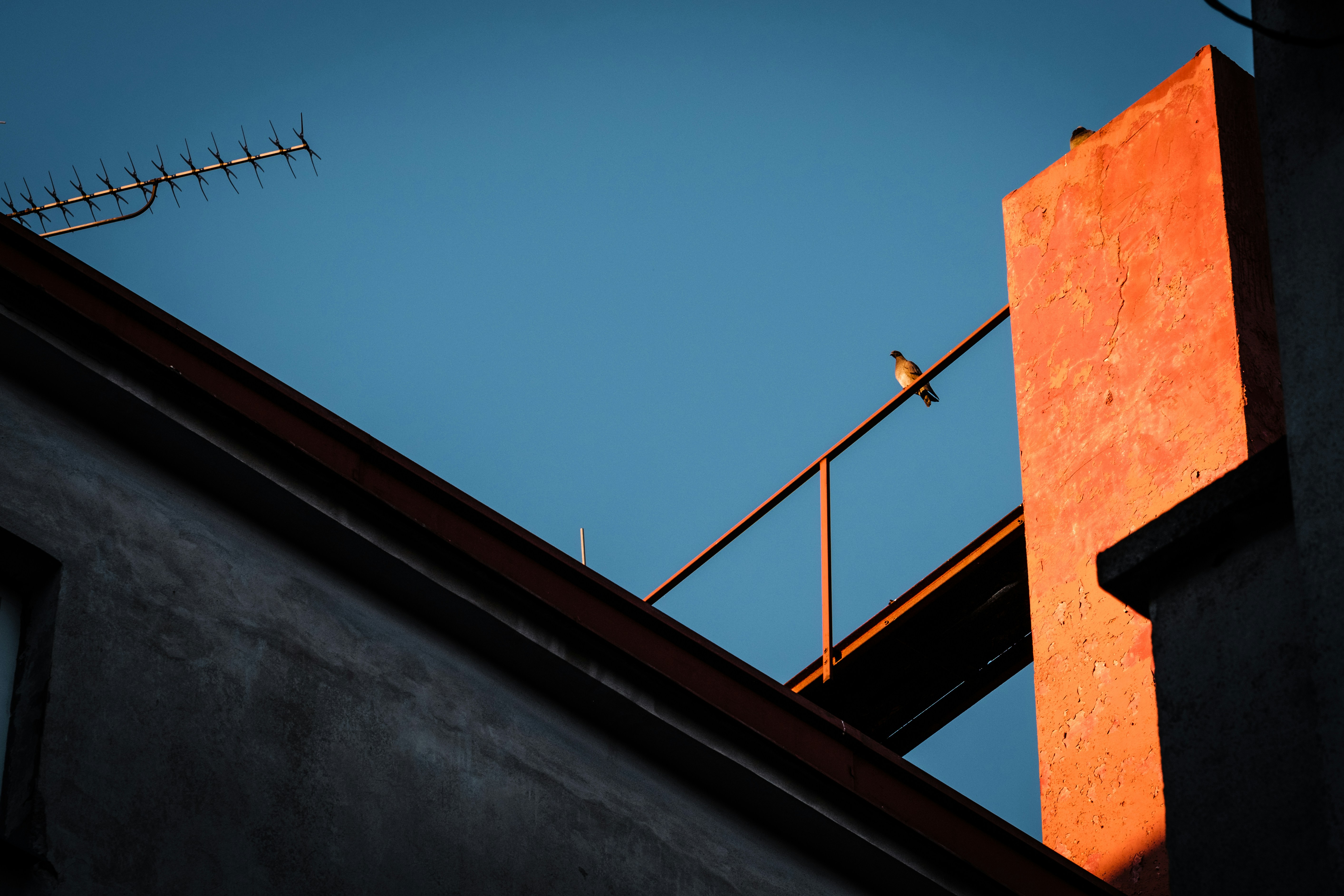 Photo by ivan_dostal