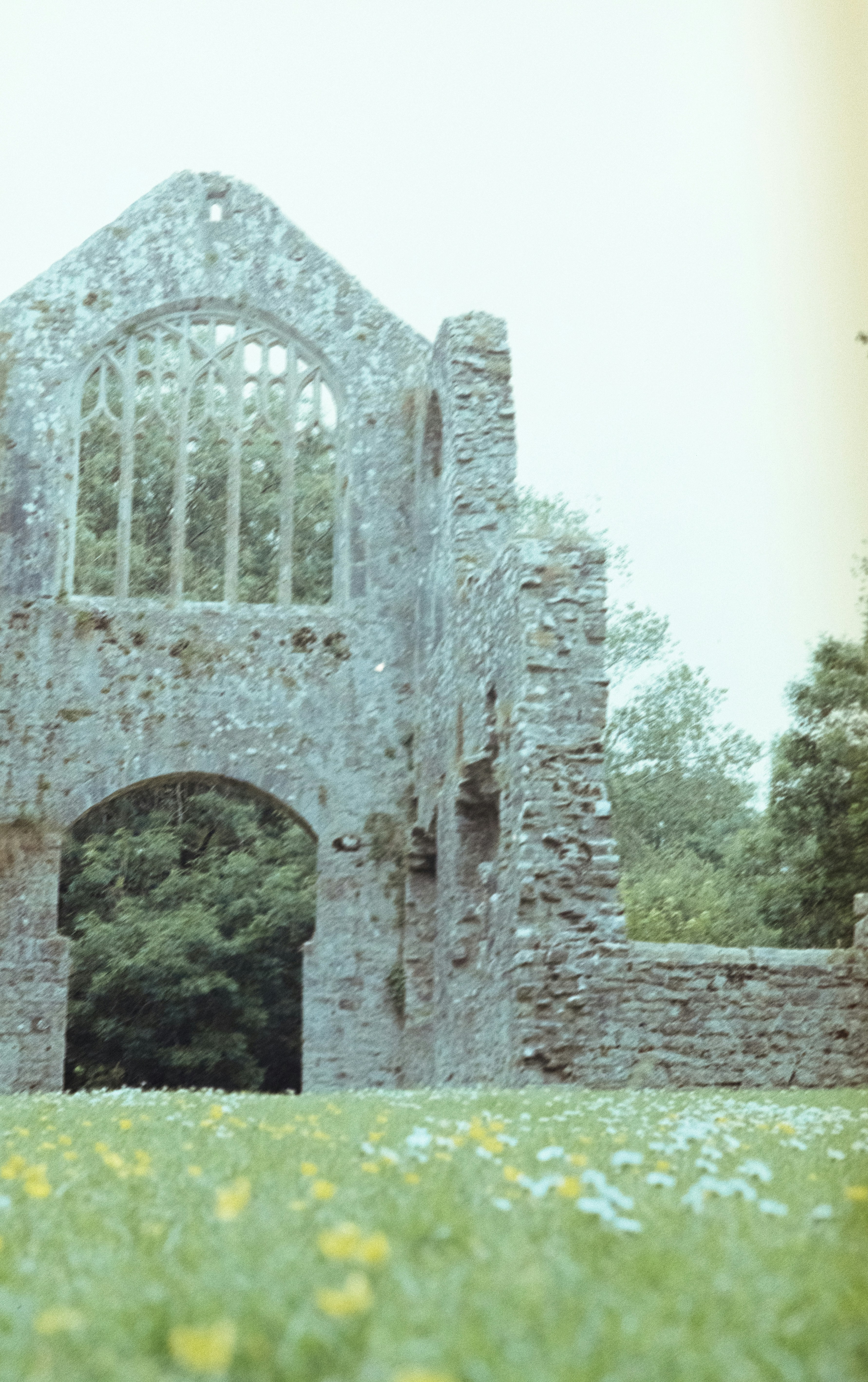 Photo by anniespratt