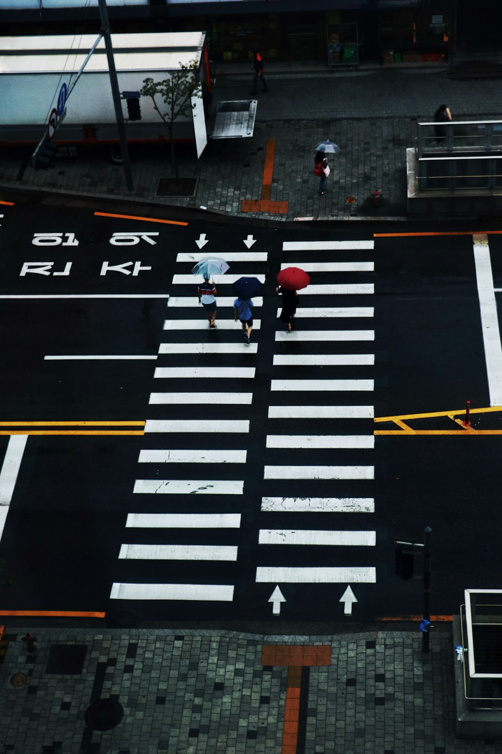 black and white road close-up photography