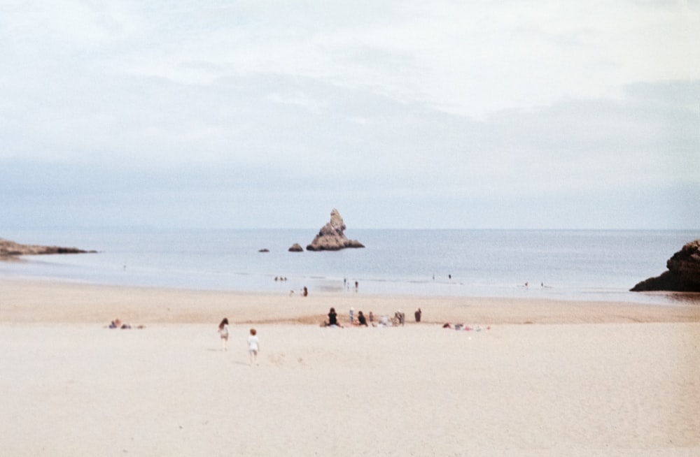 shoreline and body of water during daytime