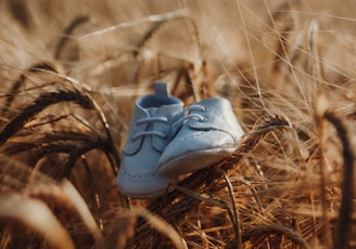 closeup photo of white shoes