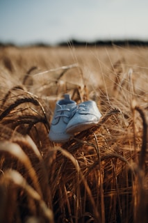 closeup photo of white shoes