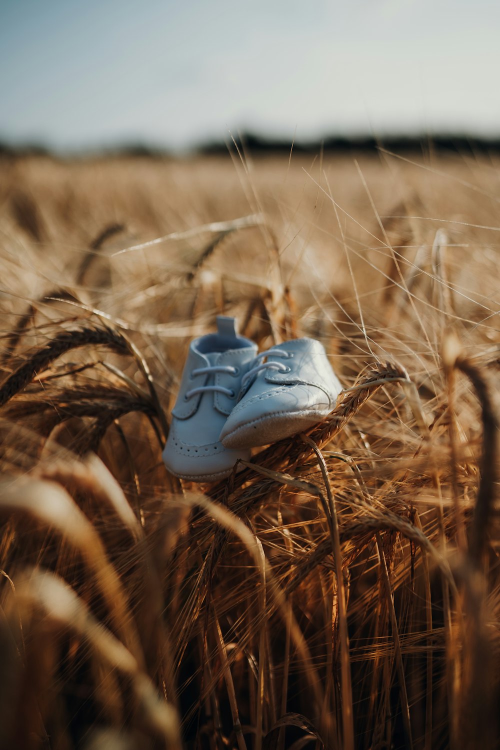 closeup photo of white shoes