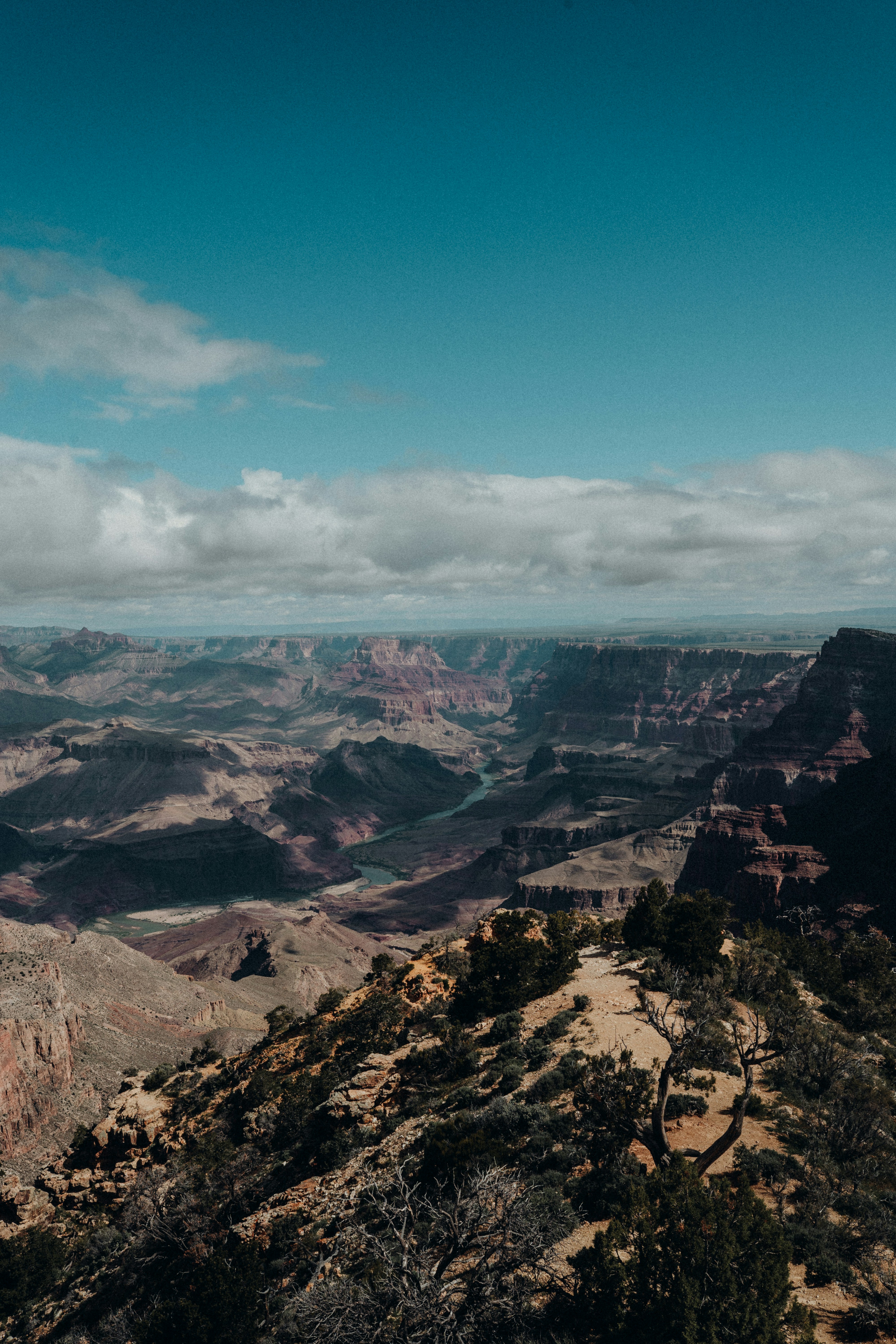 Photo by luiseandnic