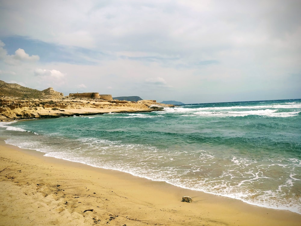 seashore under clouded sky