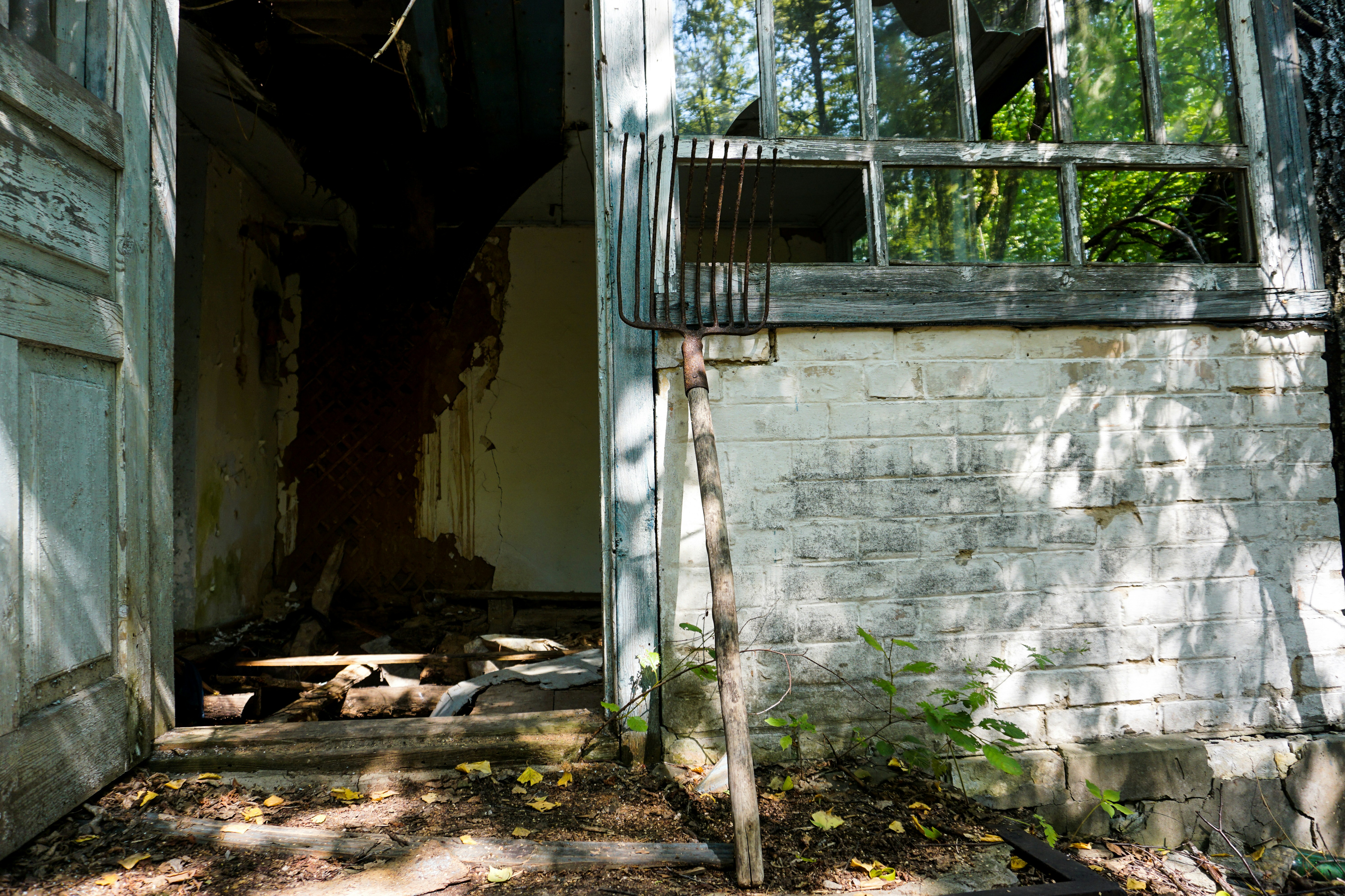 Photo by ilja_nedilko