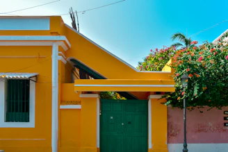 A bright yellow painted exterior wall of a modern home under clear daylight, showcasing freshness and energy.