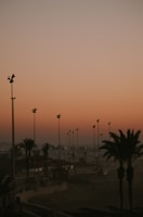two palm trees during golden hour