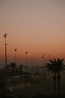 two palm trees during golden hour