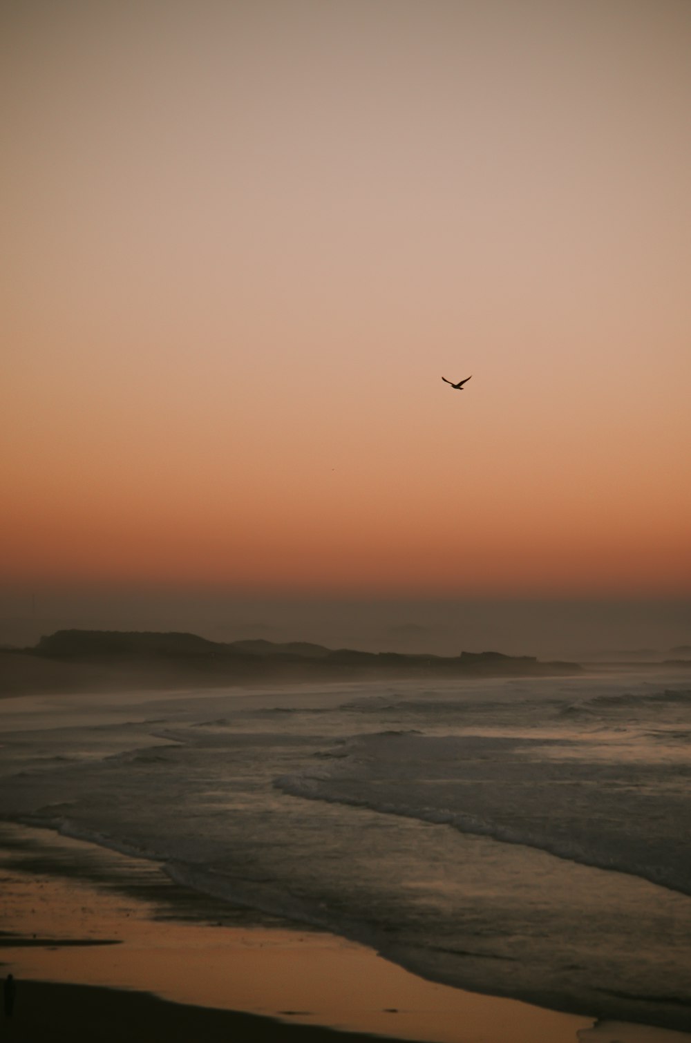 shore during sunset