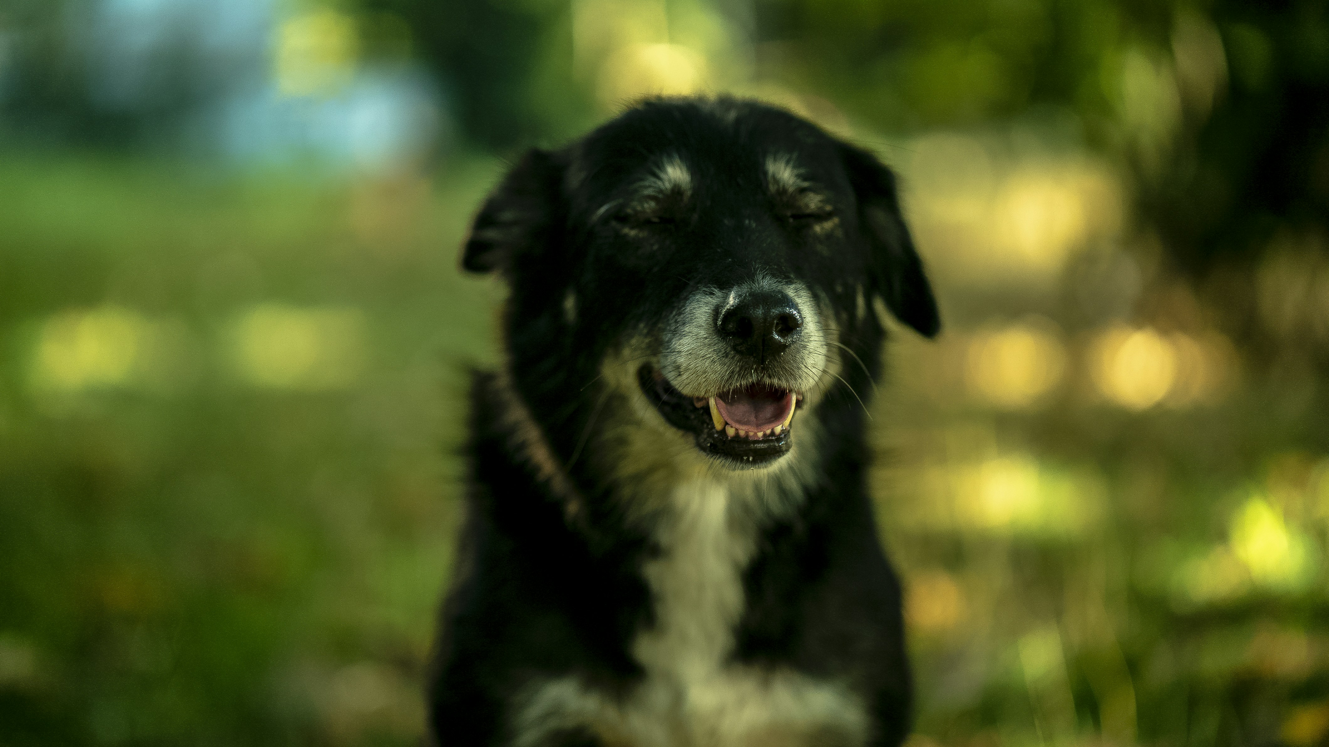 Photo by nihaldemirci