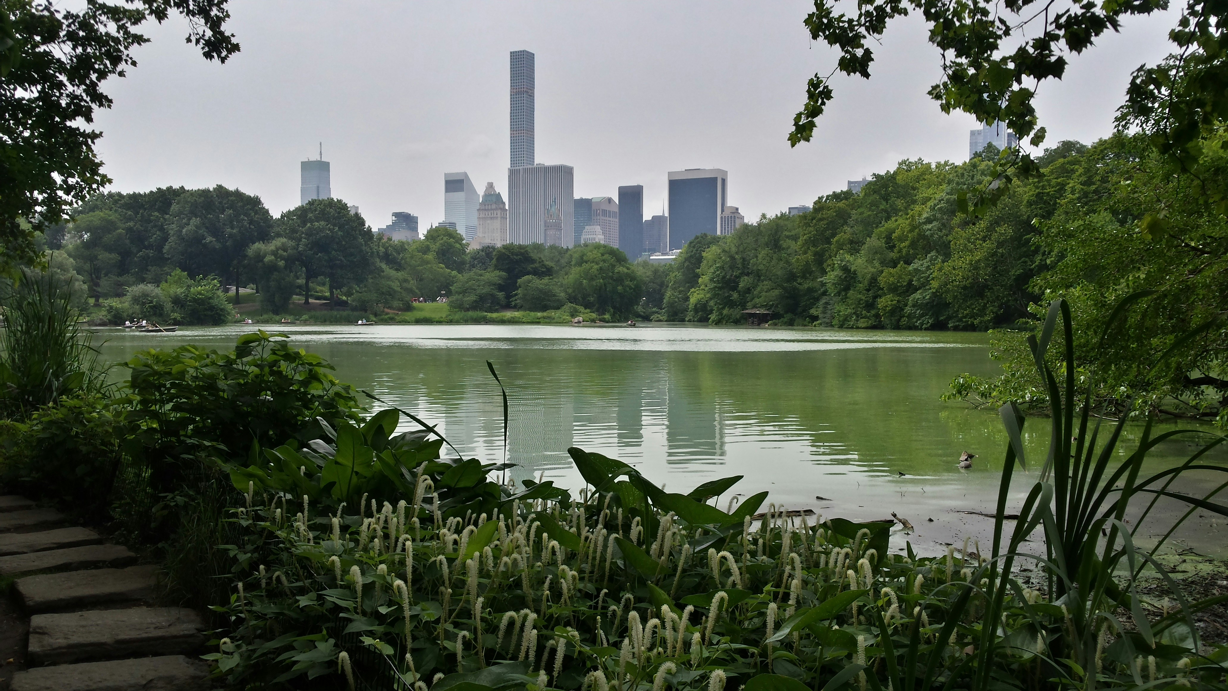 Photo by szedlaktomi