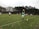 A group of soccer players is engaged in a match on a grassy field, surrounded by tall trees. One player wearing a green jersey is preparing to throw the ball in from the sideline. Other players in white and green jerseys are positioned across the field, ready to resume play.