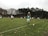 A group of soccer players is engaged in a match on a grassy field, surrounded by tall trees. One player wearing a green jersey is preparing to throw the ball in from the sideline. Other players in white and green jerseys are positioned across the field, ready to resume play.