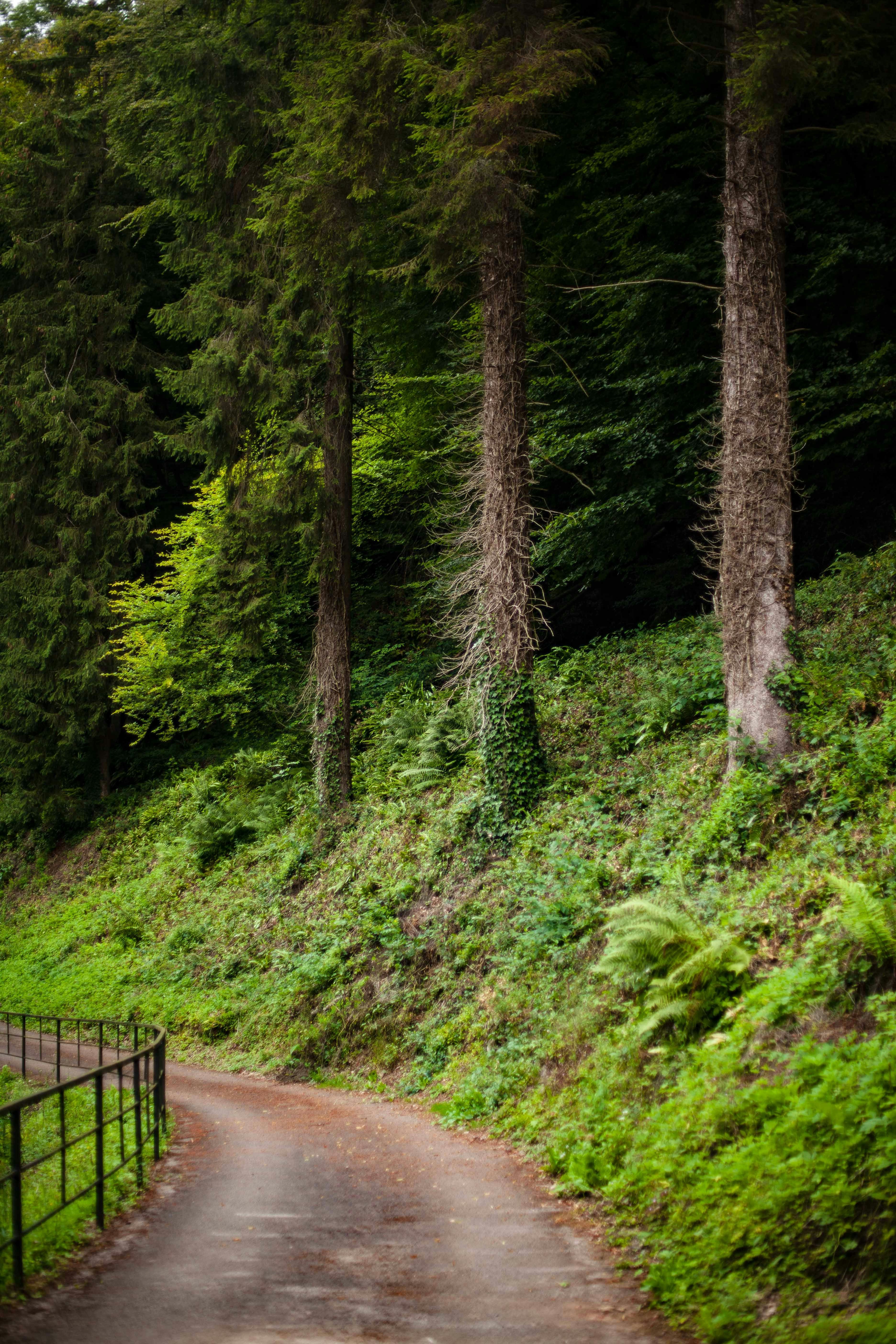 Photo by franzwaroux