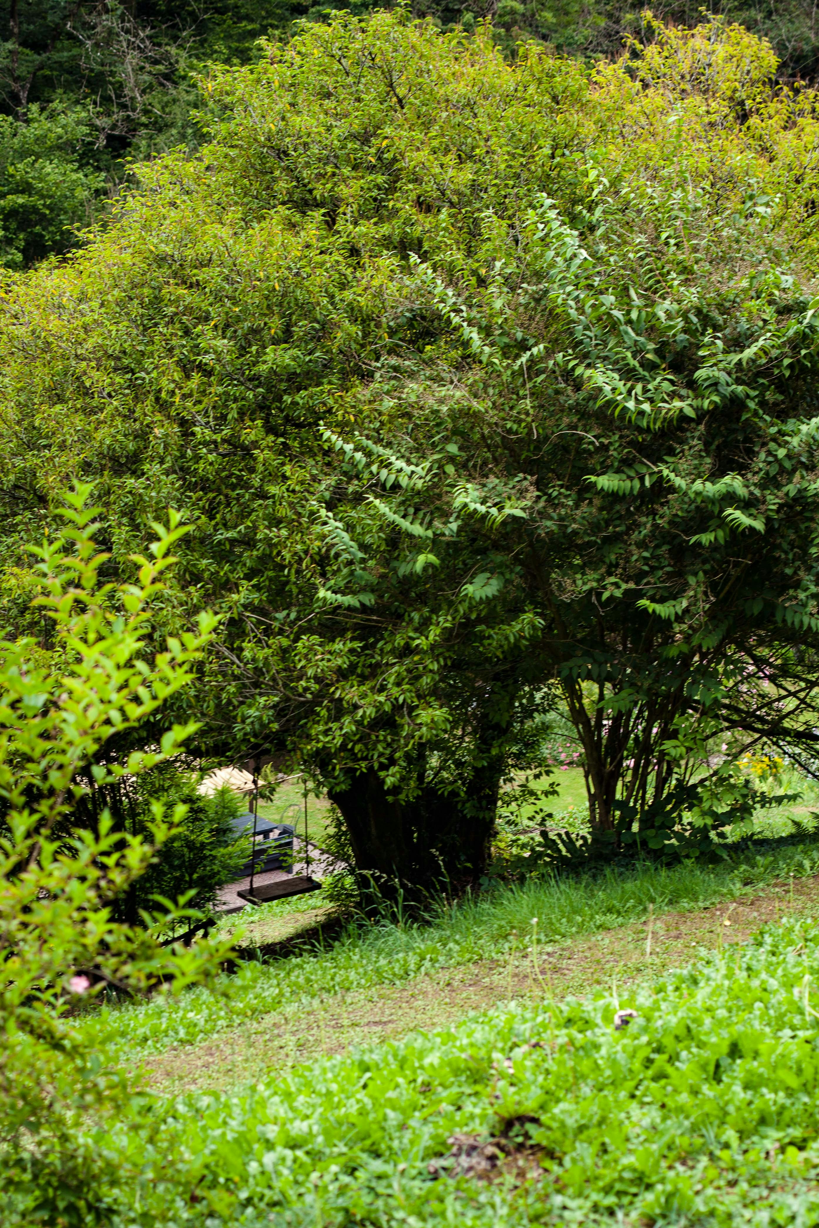 Photo by franzwaroux