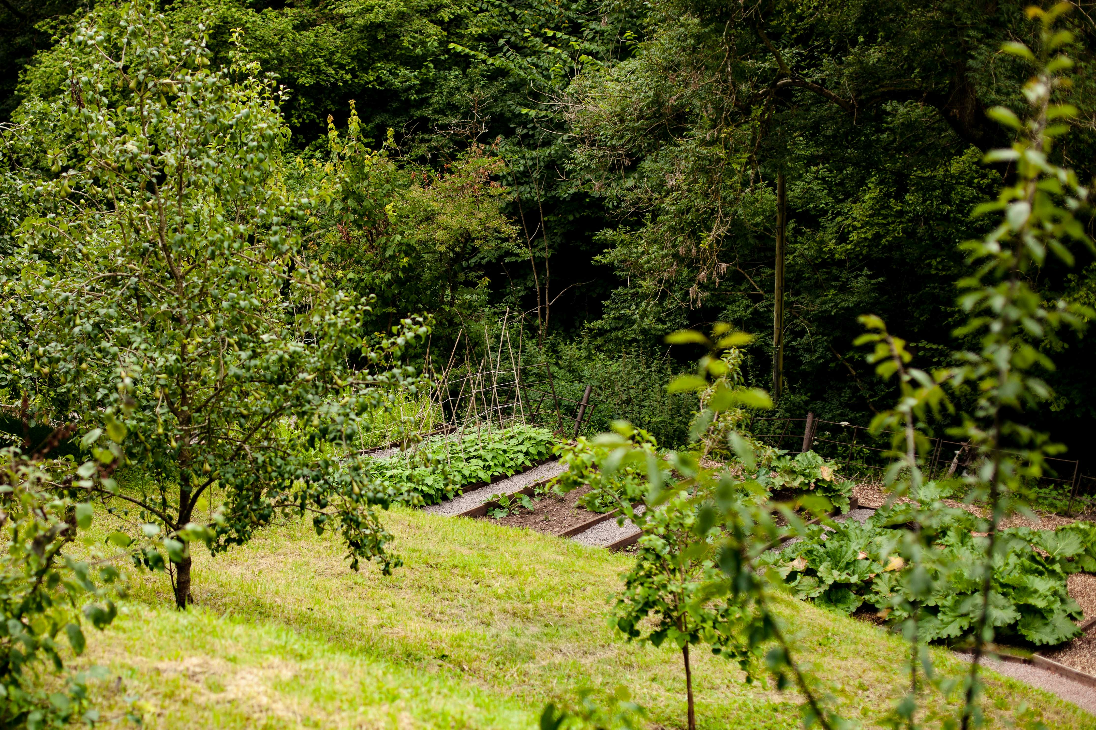 Photo by franzwaroux