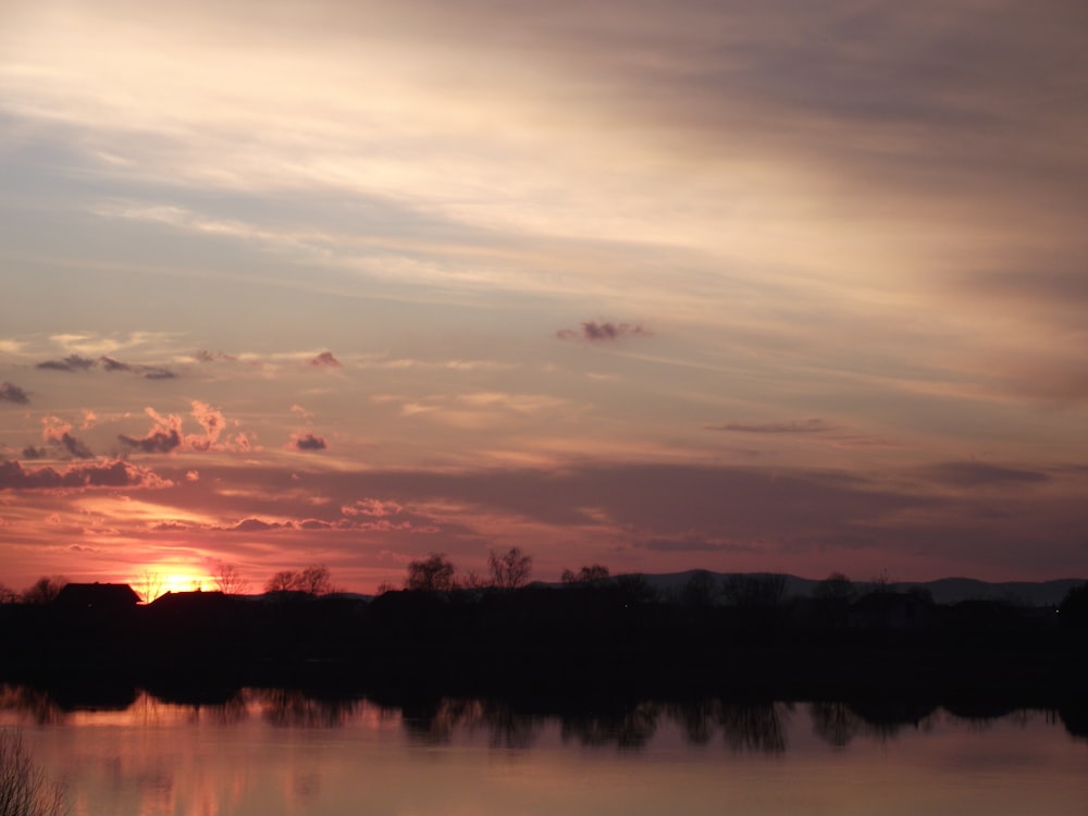 photographie de silhouette d’arbres