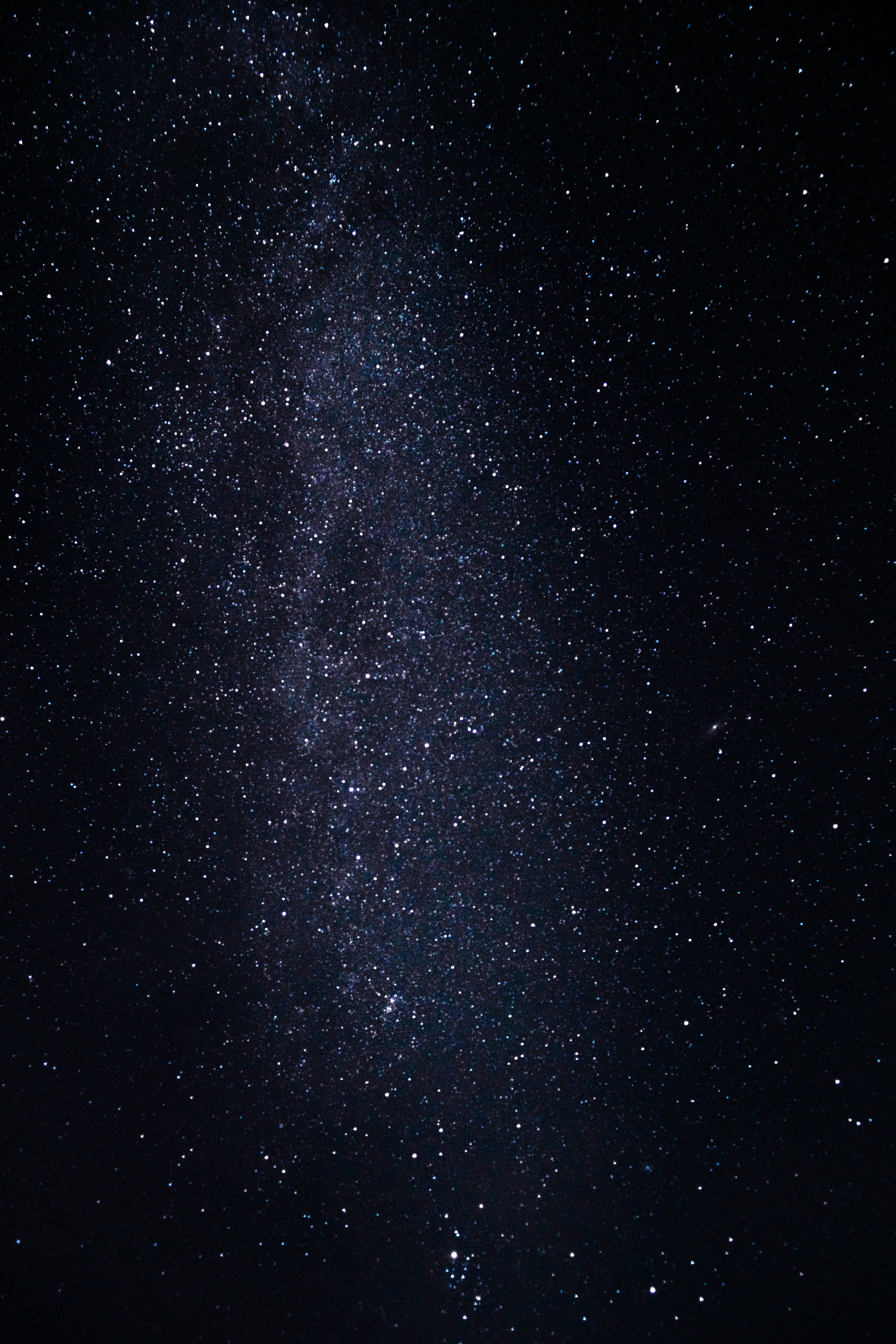 Photo by juniperphoton