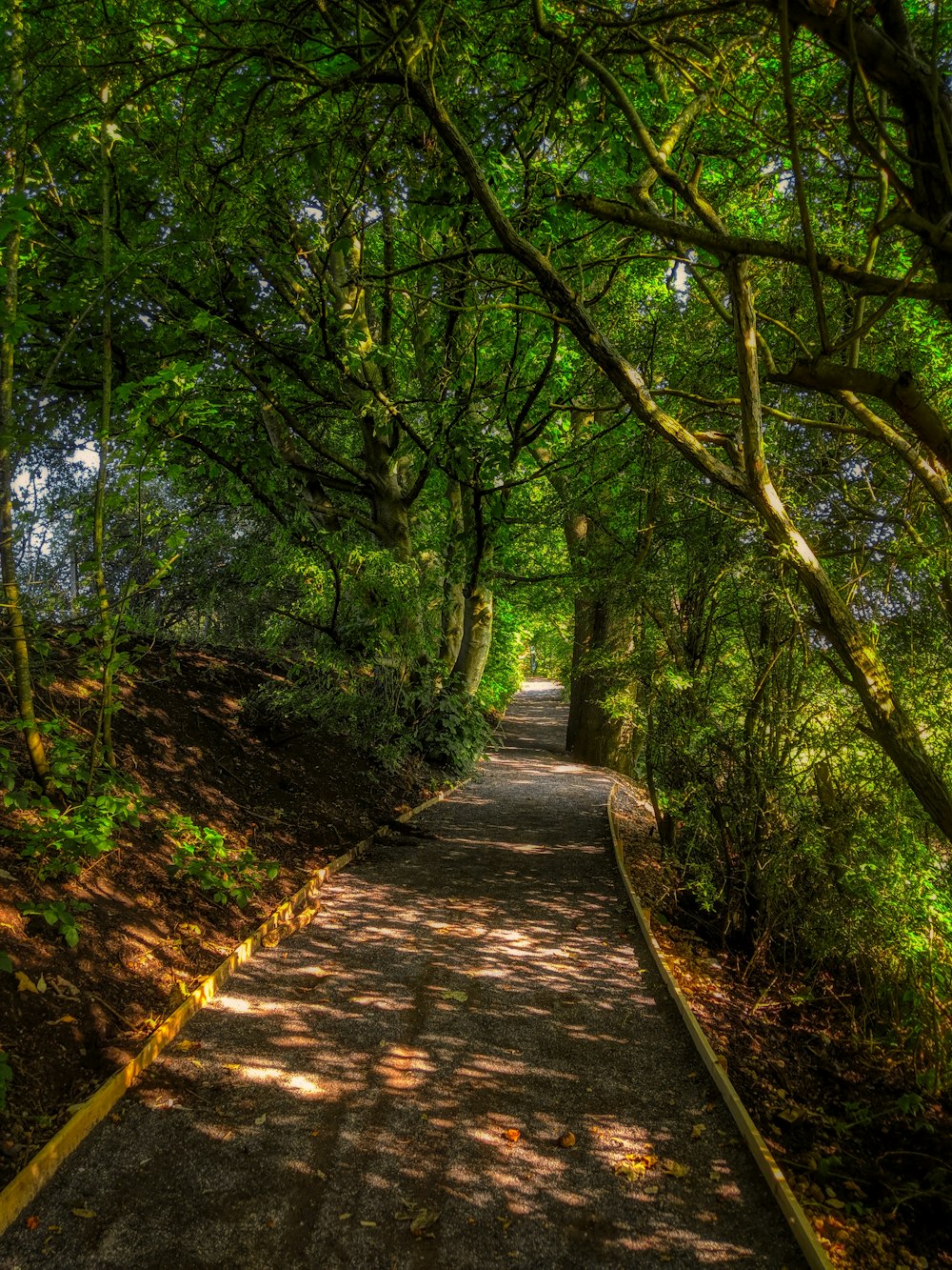 green-leafed trees