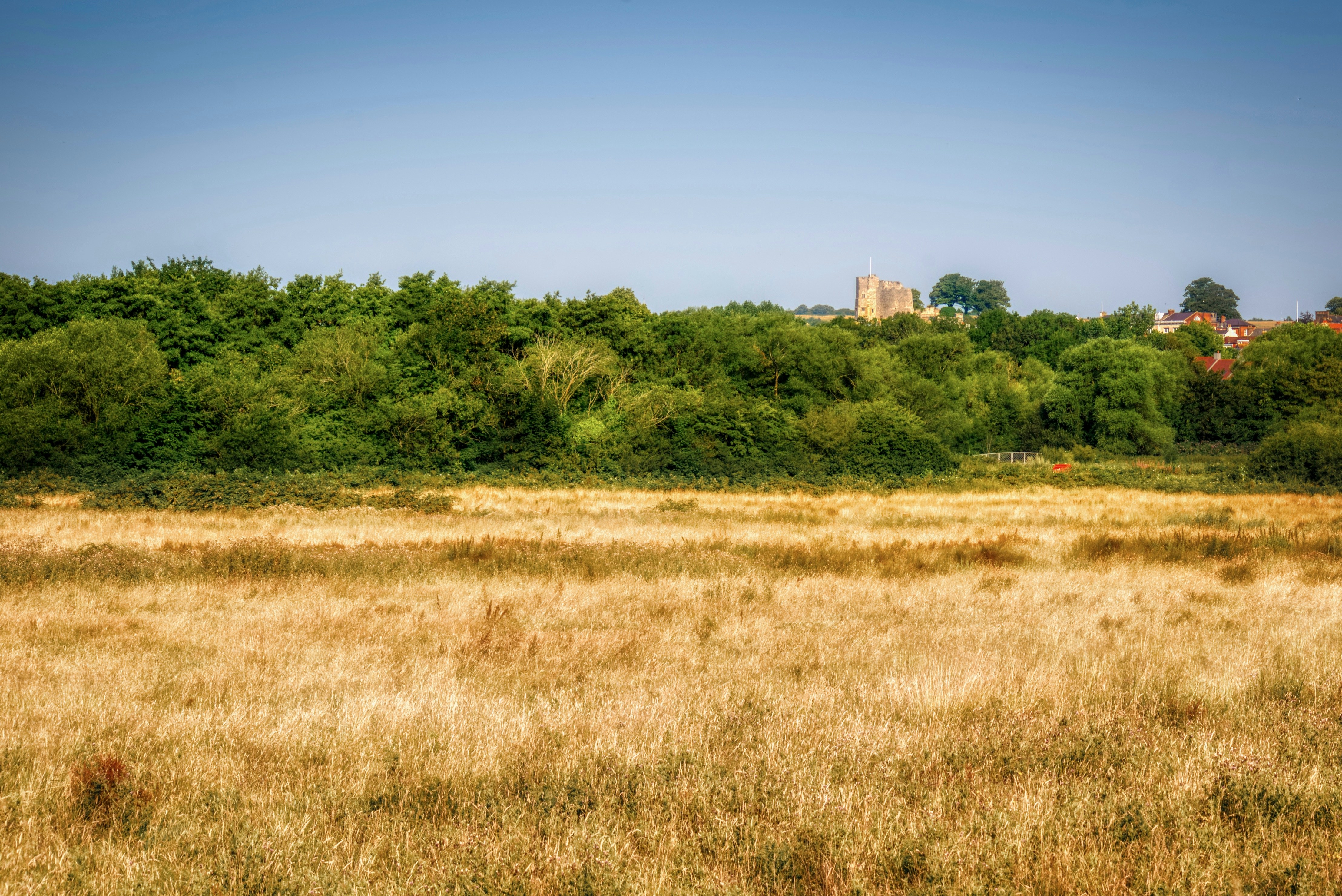 Photo by darrencoleshill