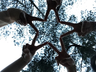 An artistic representation of human cooperation.