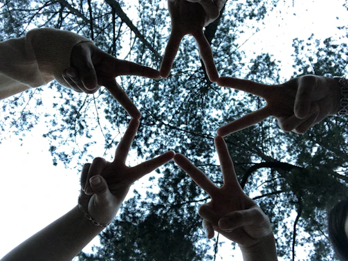 An organization’s members arranged in a creative formation, reflecting their strong collaboration.