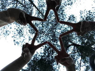 Five hands forming a star shape against a backdrop of tall trees, viewed from below. The fingers are arranged to connect and form the star, creating a harmonious and collaborative visual.