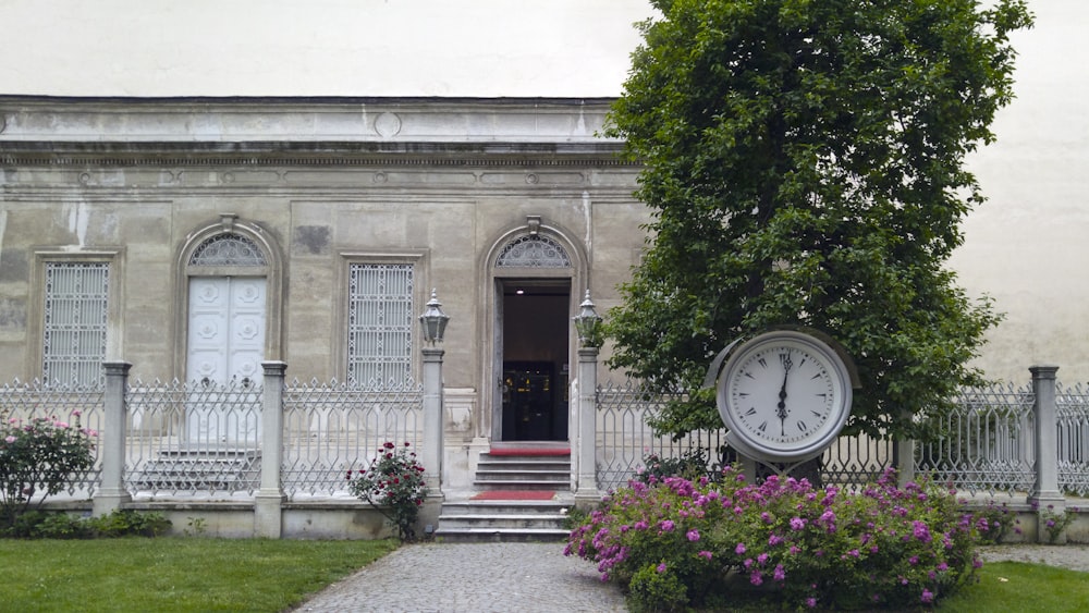 clock near tree and building during daytime