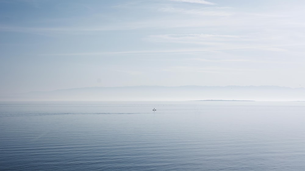 white boat in sea