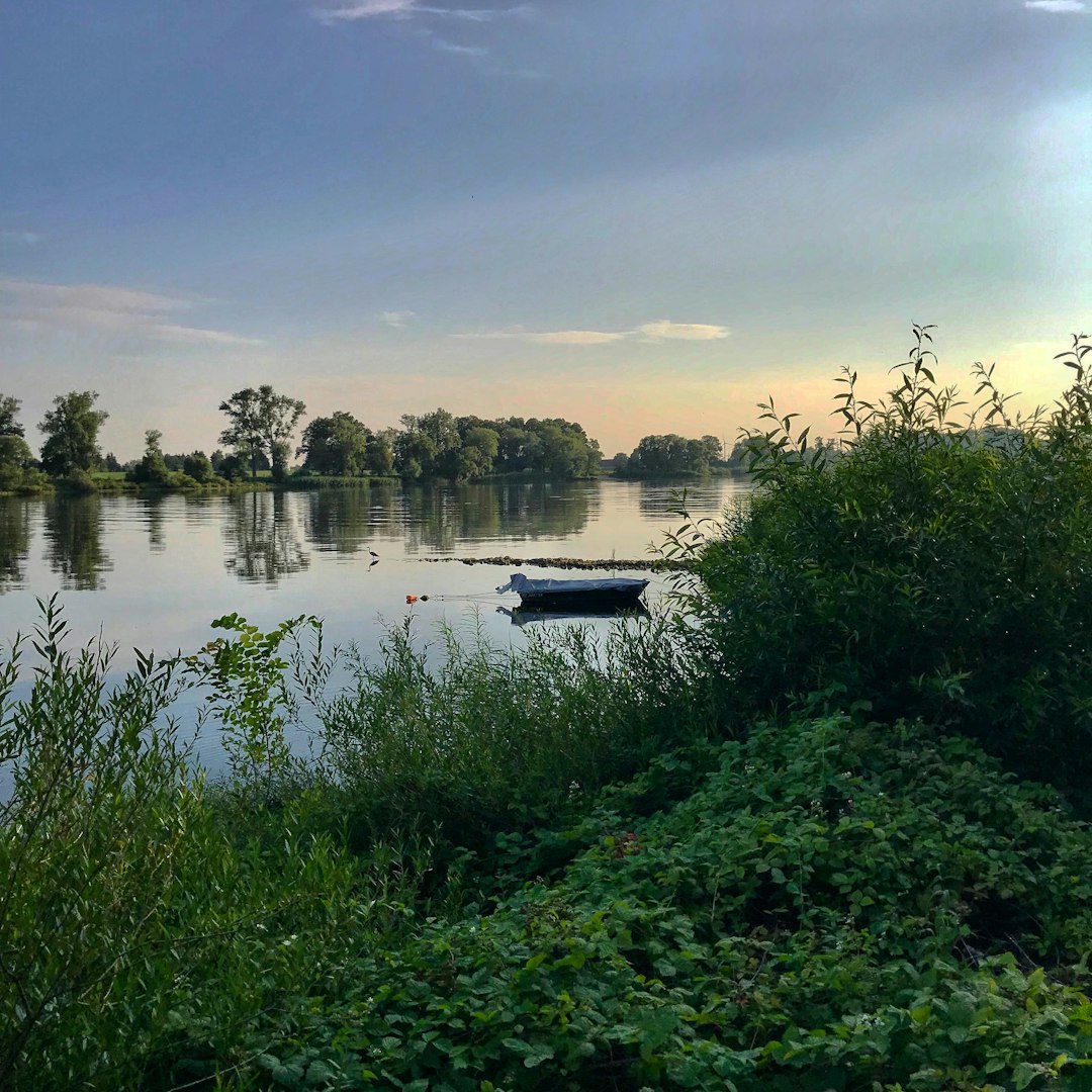 Nature reserve photo spot Fischerzug 8 Boltenhagen