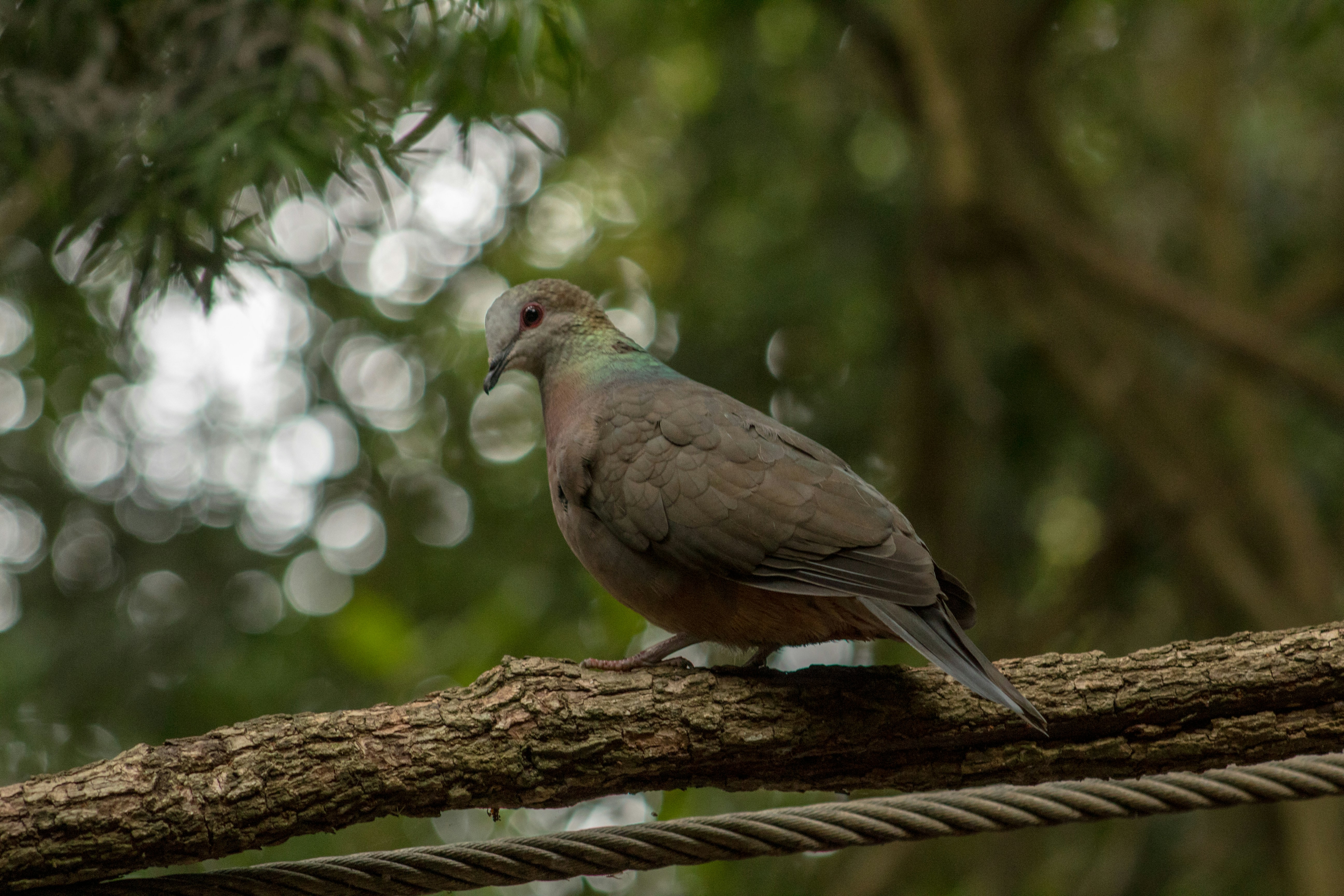 Photo by jjbadenhorst