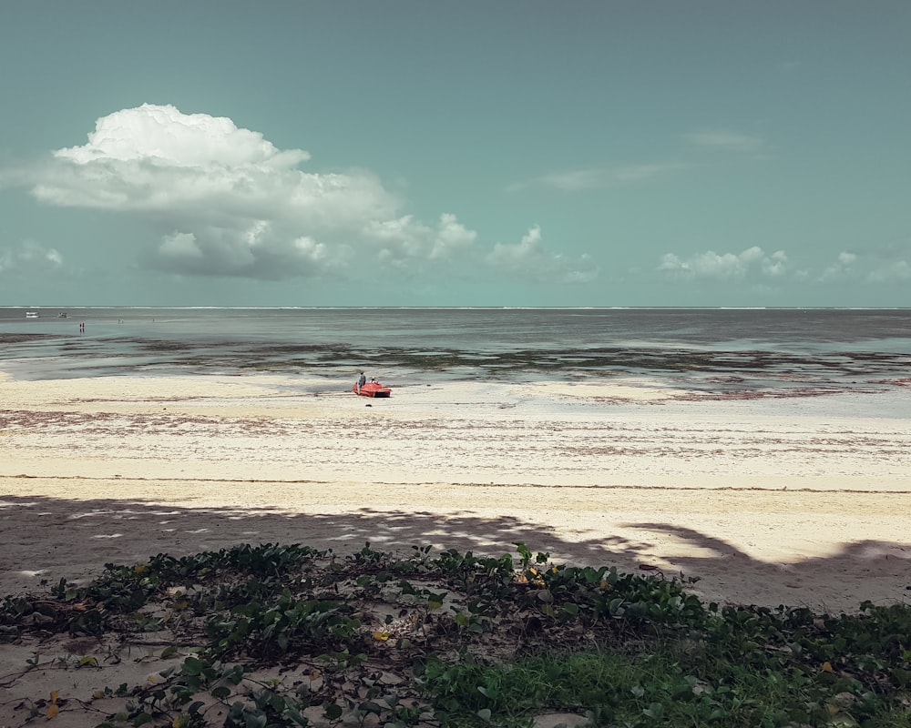 beach line under gray sky