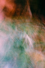 Wide shot of an abstract painting with swirling greens and soft pinks blending smoothly.