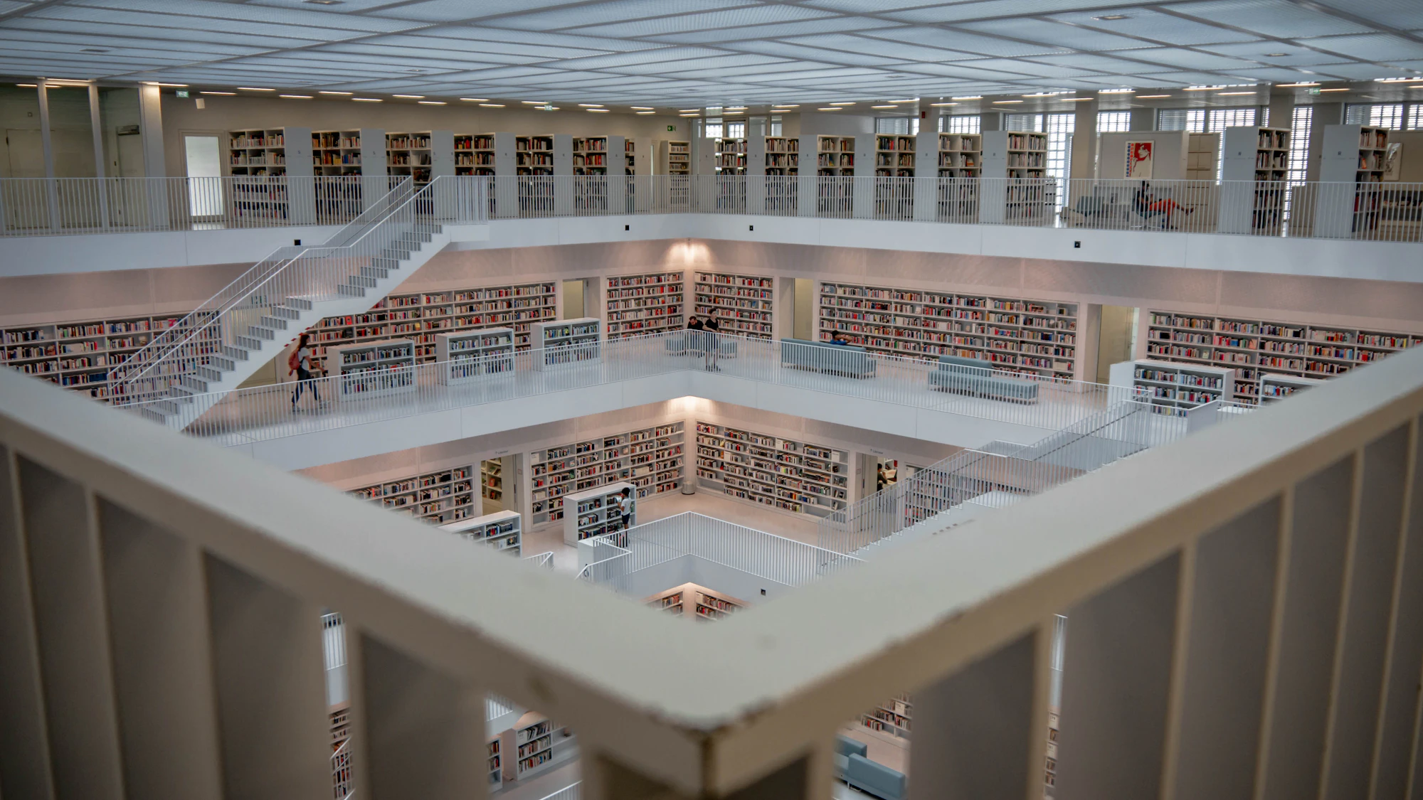 A bright, modern multi-level library full of organized knowledge
