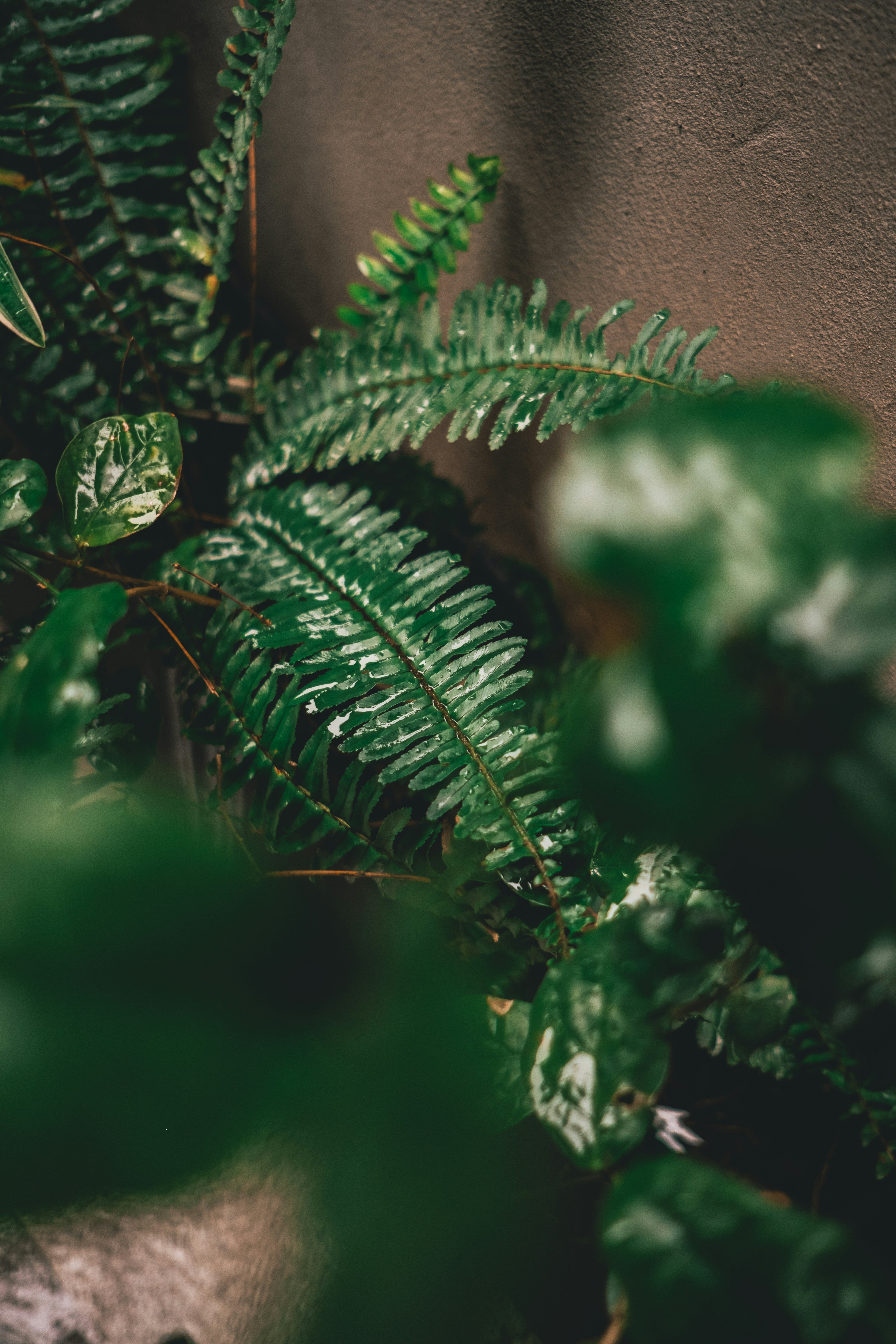 Photo by kennyzhang29