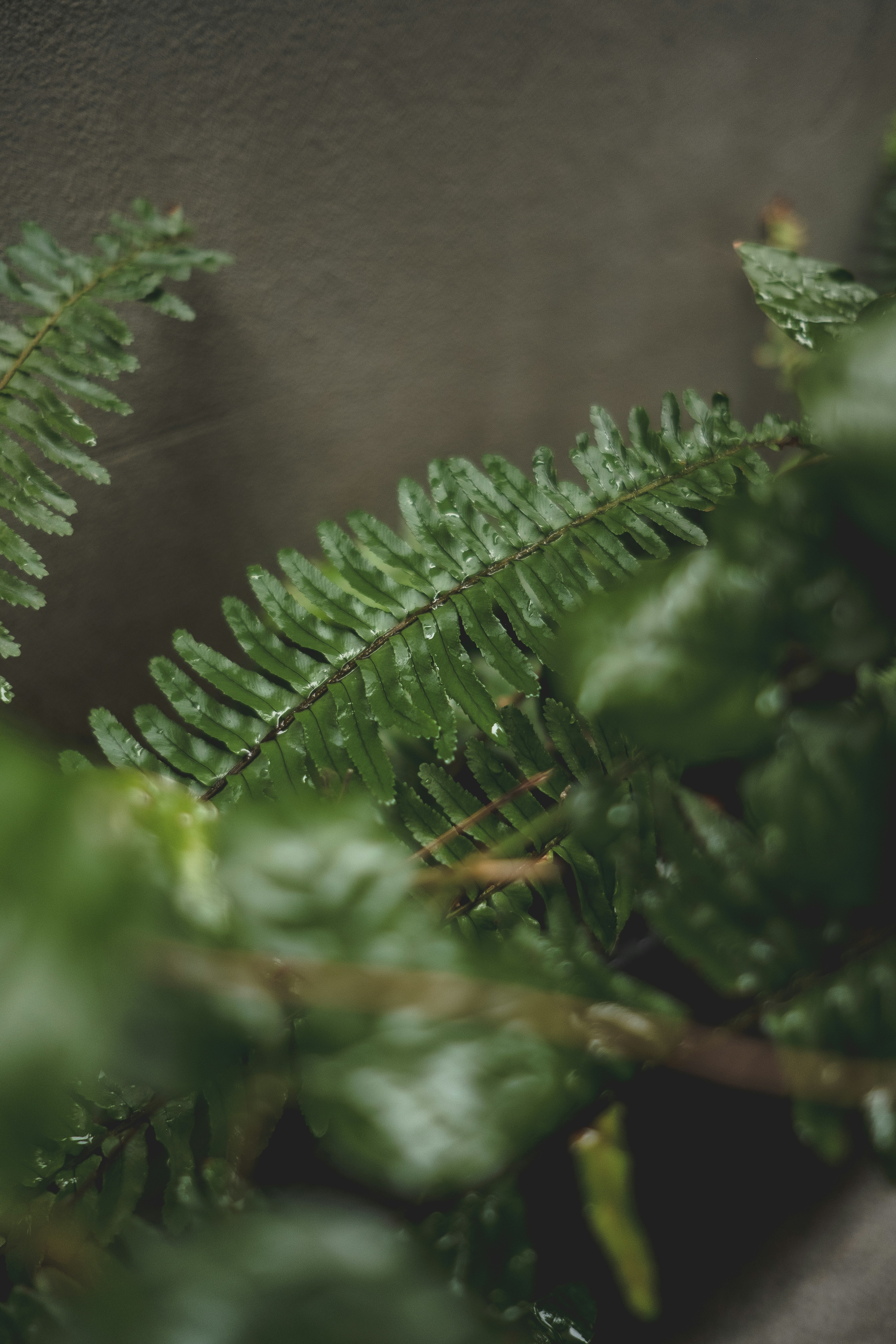 Photo by kennyzhang29